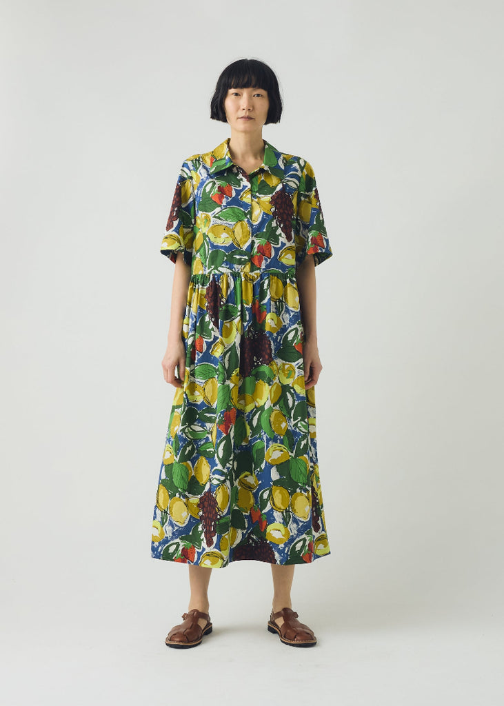 TOAST | Sketched Fruit Print Shirt Dress