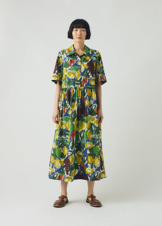 TOAST | Sketched Fruit Print Shirt Dress