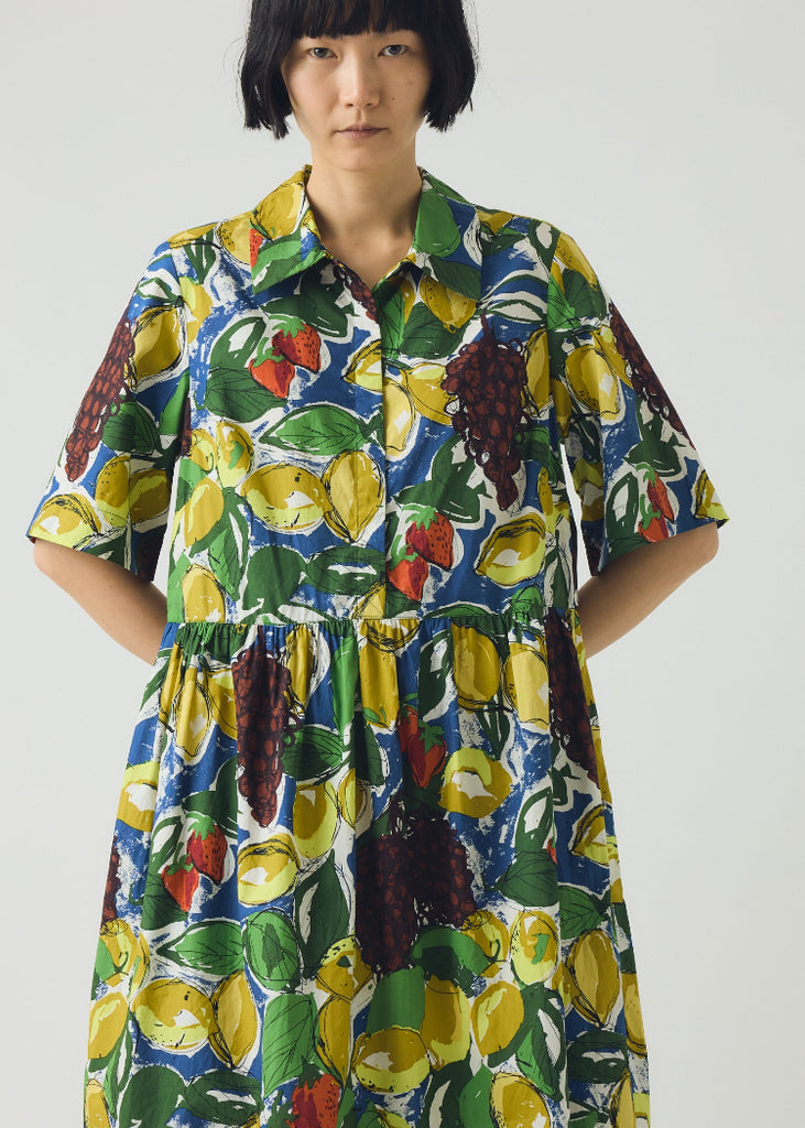 TOAST | Sketched Fruit Print Shirt Dress