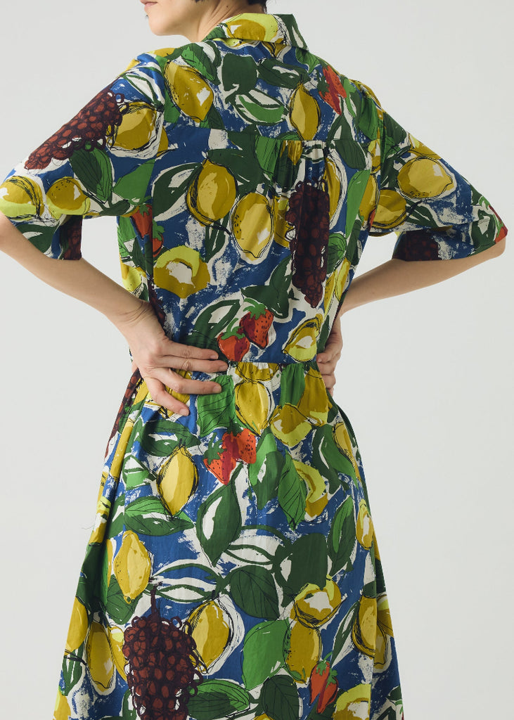 TOAST | Sketched Fruit Print Shirt Dress
