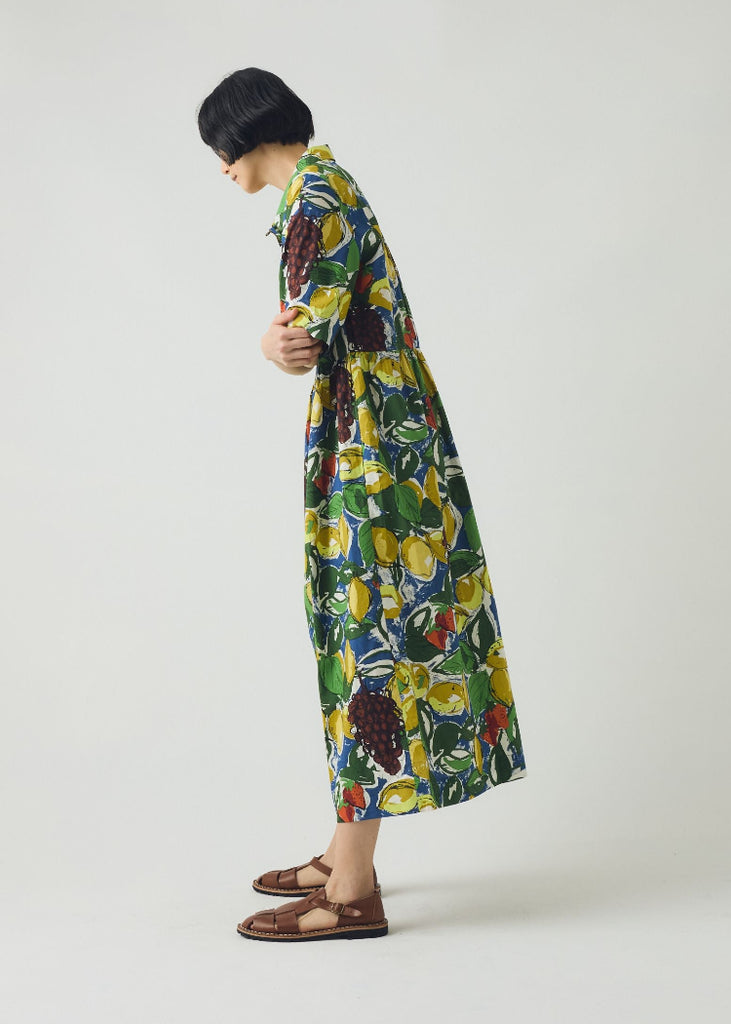 TOAST | Sketched Fruit Print Shirt Dress