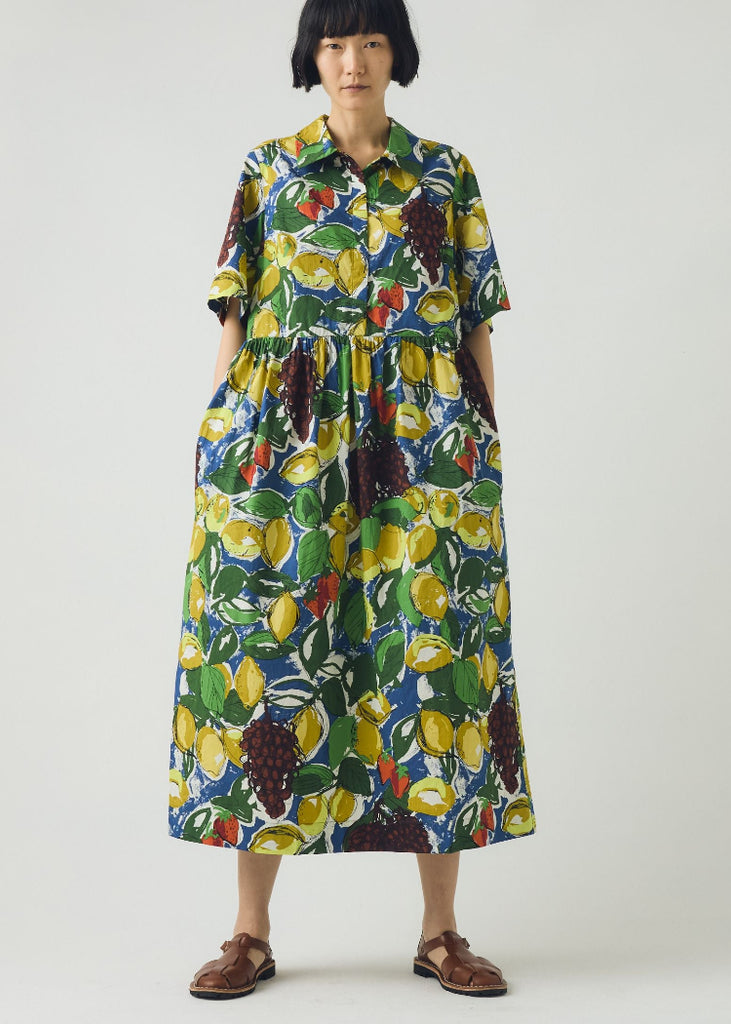 TOAST | Sketched Fruit Print Shirt Dress