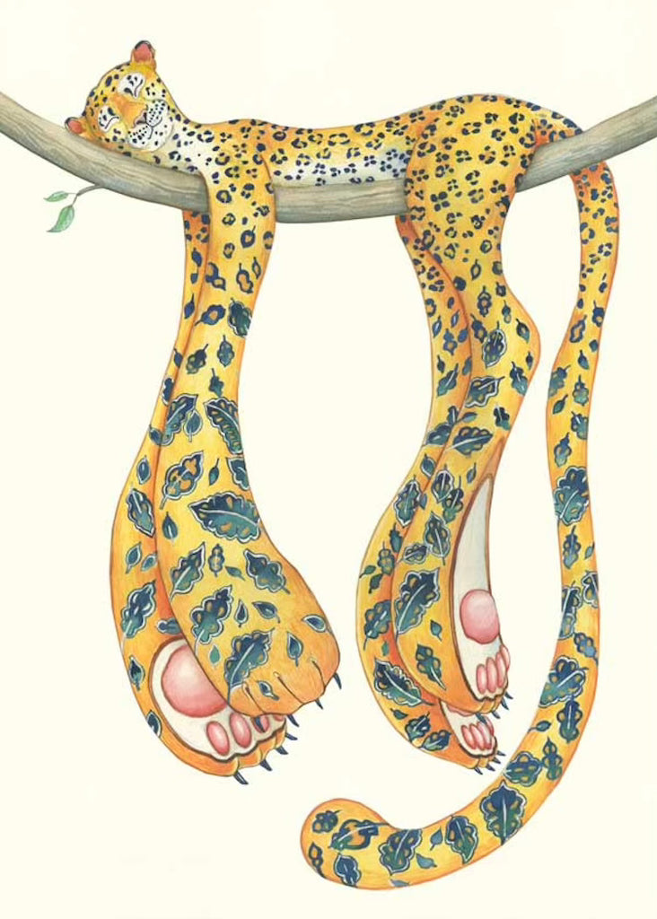 The DM Collection | Leopard Asleep