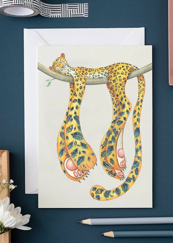 The DM Collection | Leopard Asleep
