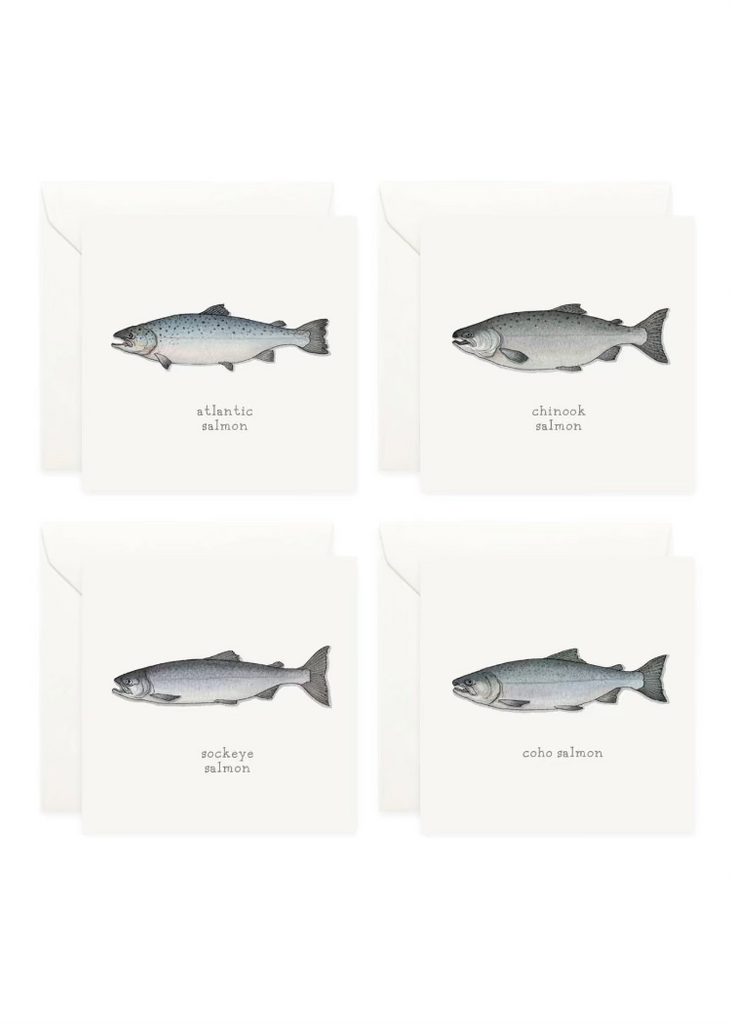 Yeesan Loh | Mini Cards Set | Salmon