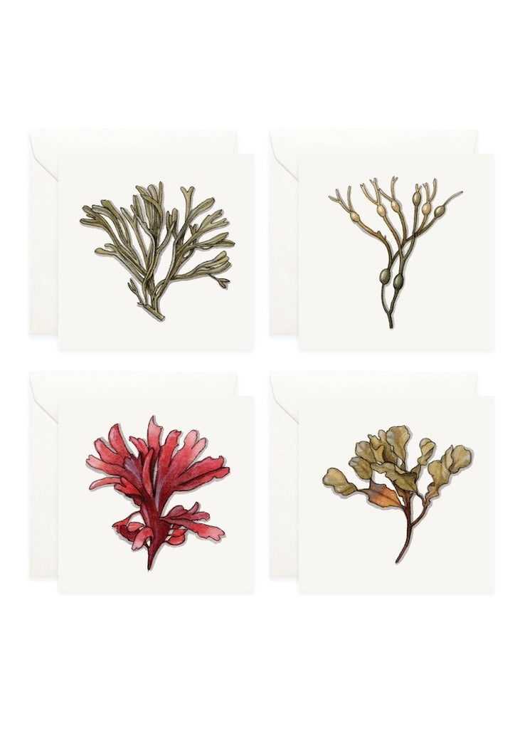 Yeesan Loh | Mini Cards Set | Seaweed