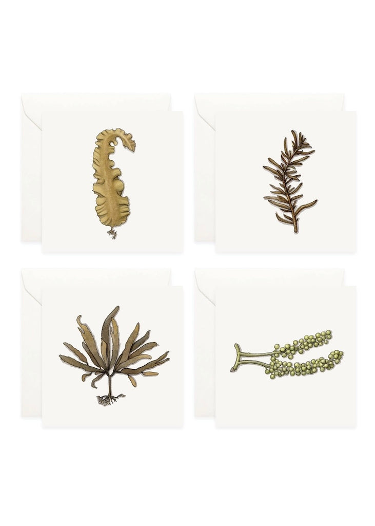 Yeesan Loh | Mini Cards Set | Seaweed