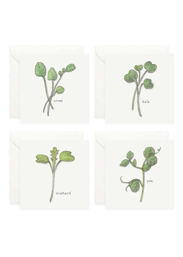 Yeesan Loh | Mini Cards Set | Sprouts & Microgreens