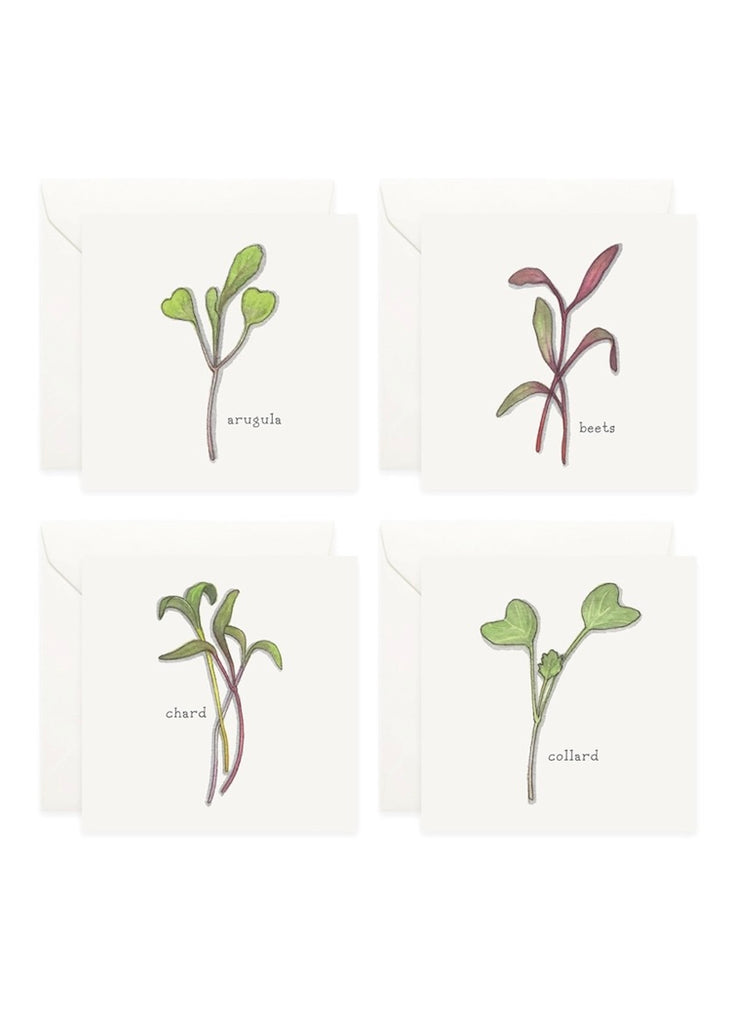 Yeesan Loh | Mini Cards Set | Sprouts & Microgreens