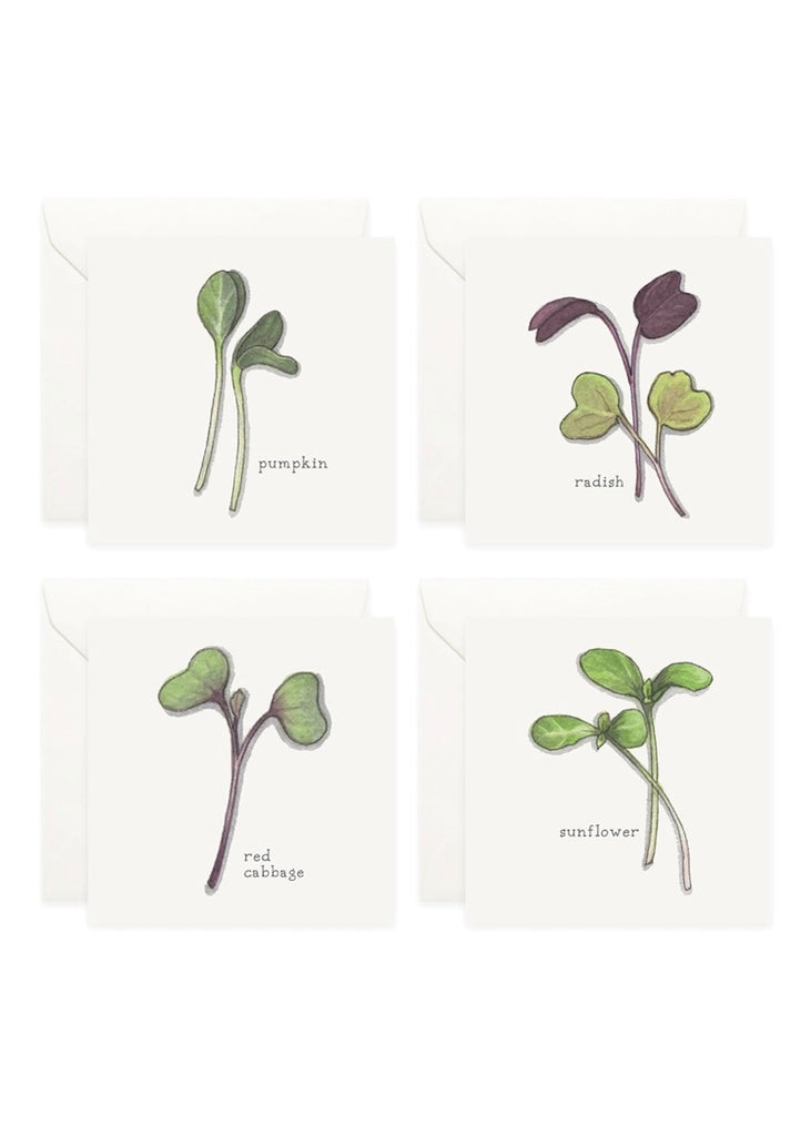 Yeesan Loh | Mini Cards Set | Sprouts & Microgreens