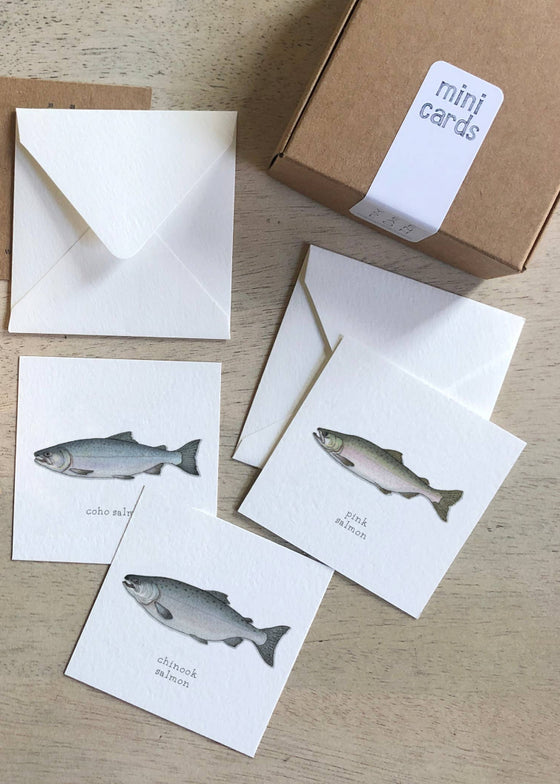 Yeesan Loh | Mini Cards Set | Salmon