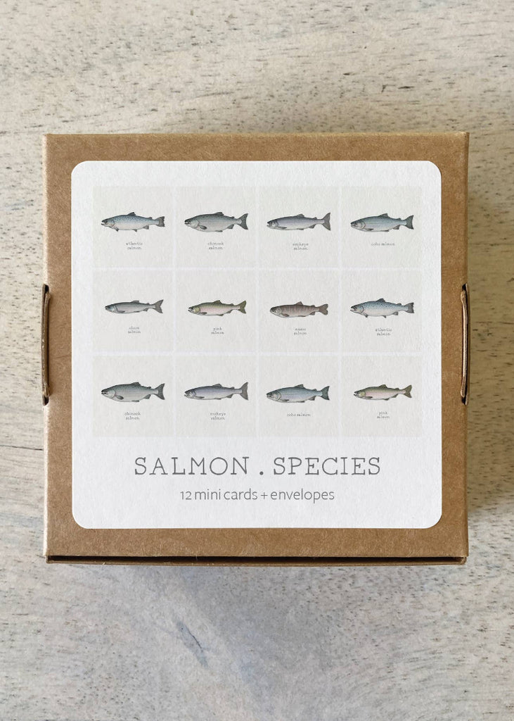 Yeesan Loh | Mini Cards Set | Salmon