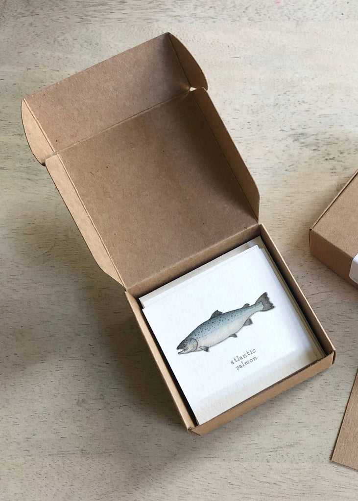 Yeesan Loh | Mini Cards Set | Salmon