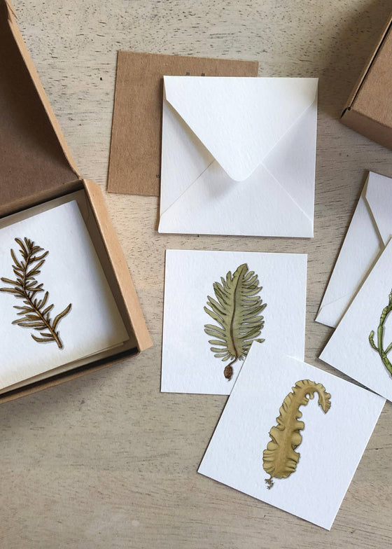 Yeesan Loh | Mini Cards Set | Seaweed