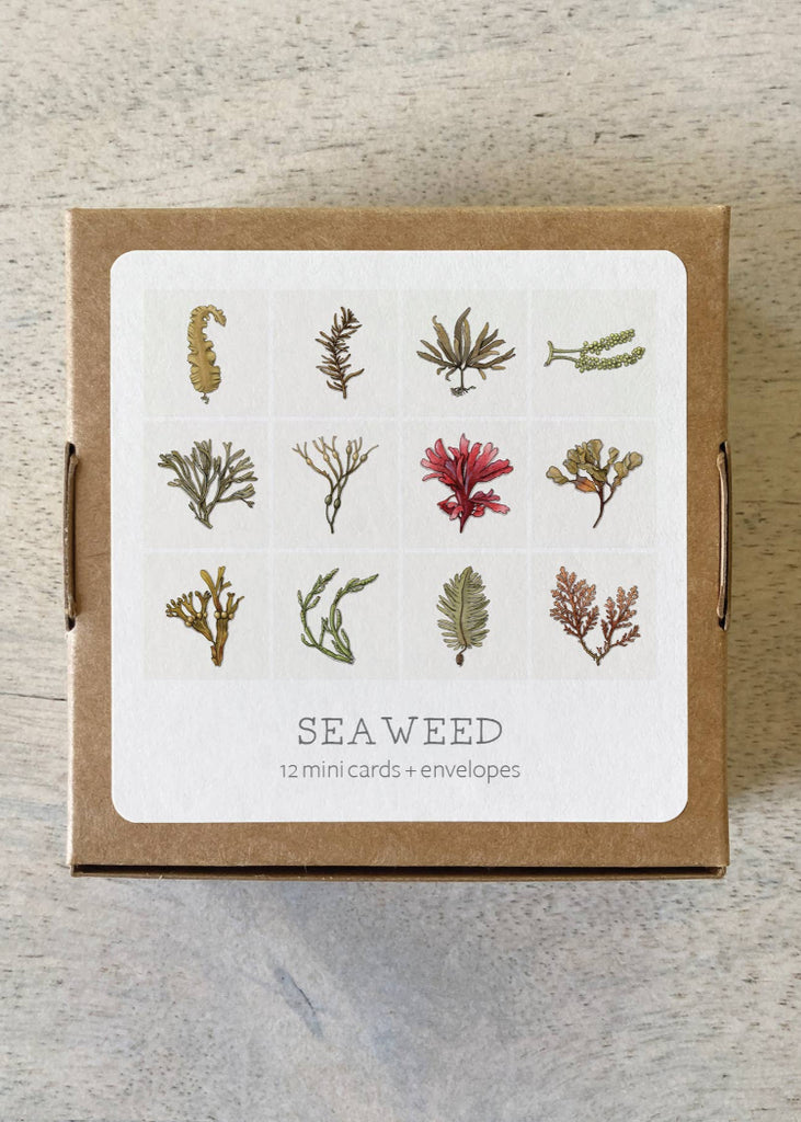 Yeesan Loh | Mini Cards Set | Seaweed