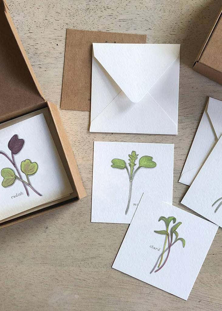 Yeesan Loh | Mini Cards Set | Sprouts & Microgreens