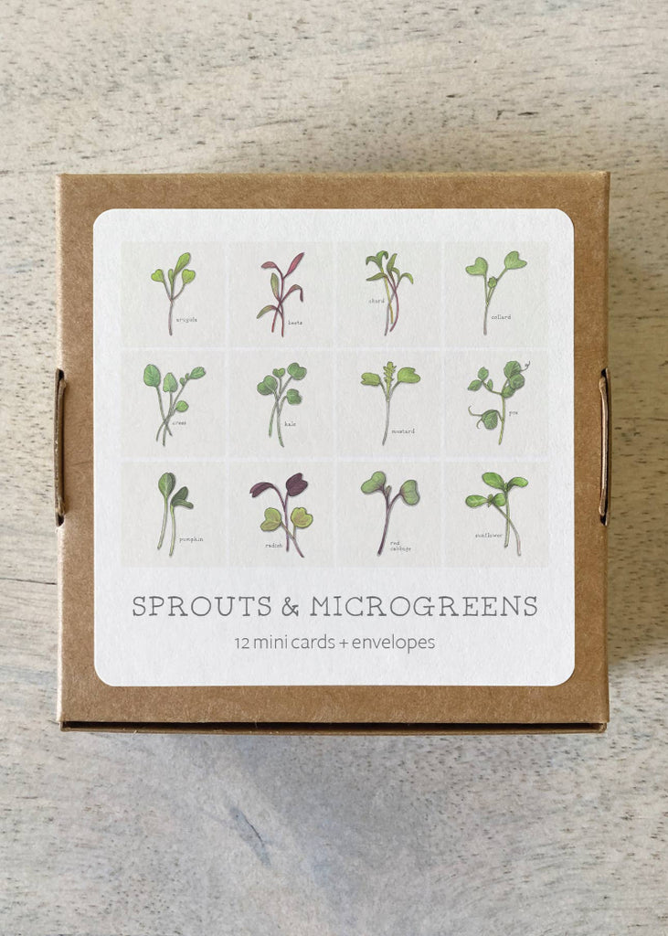 Yeesan Loh | Mini Cards Set | Sprouts & Microgreens