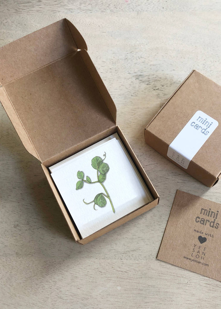 Yeesan Loh | Mini Cards Set | Sprouts & Microgreens