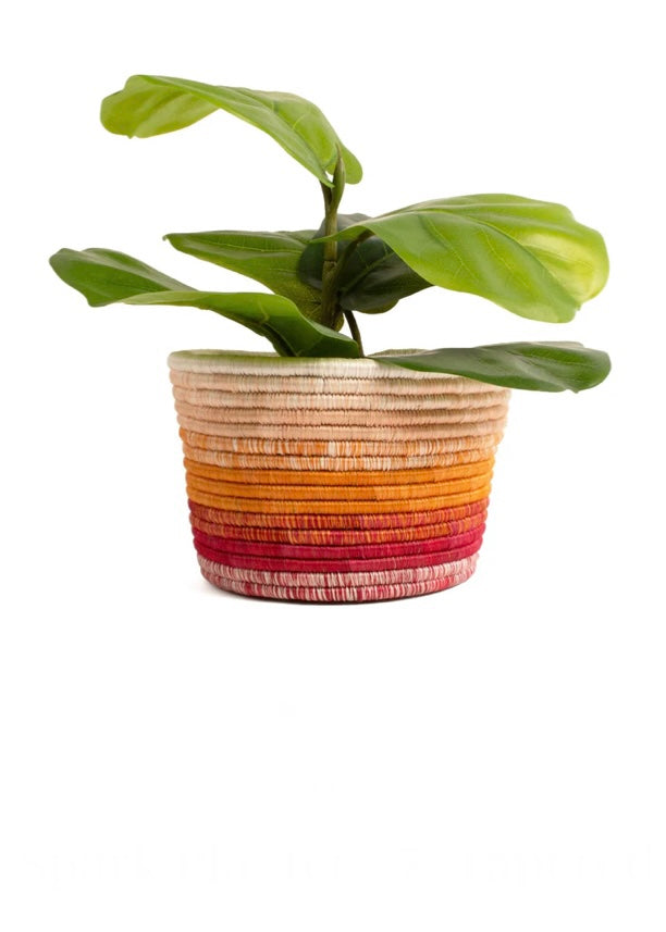 Kazi | 7" Planter