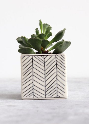 Elizabeth Benotti Ceramics | Square Herringbone Planter | Small | White