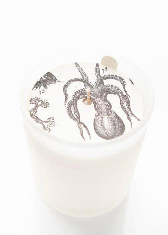 Formulary 55 | Glass Candle | Sea Salt + Lavender