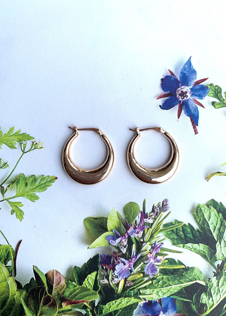 Carla Corp | 14k SM Polished Hoop