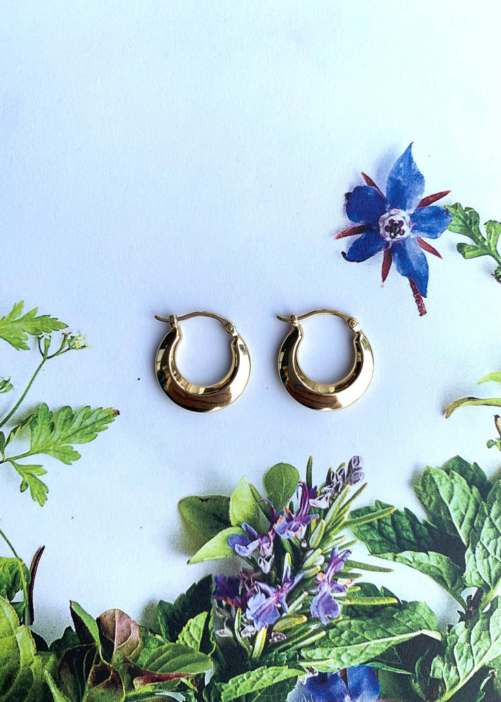 Carla Corp | 14k SM Polished Hoop