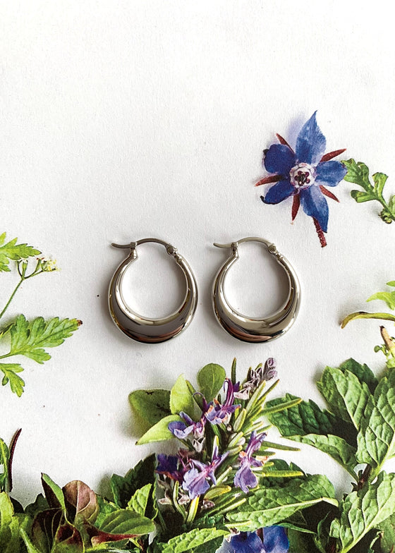 Carla Corp | SS Small Polished Hoop