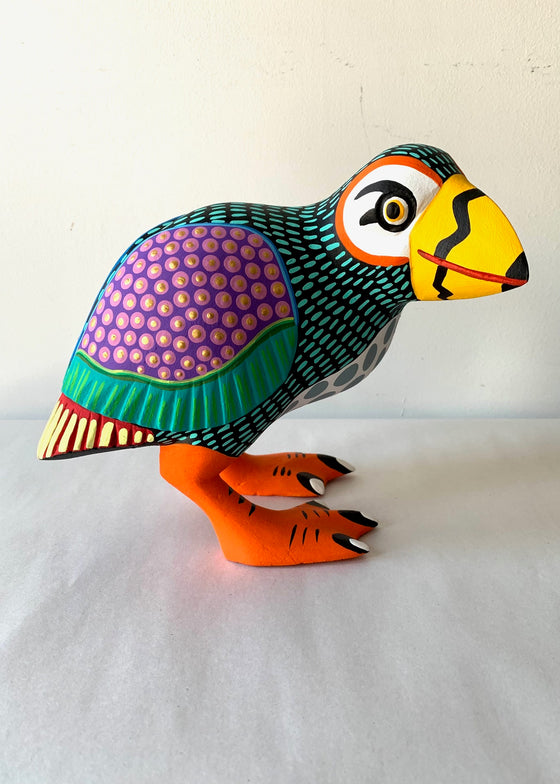 Armando Jimenez | Puffin