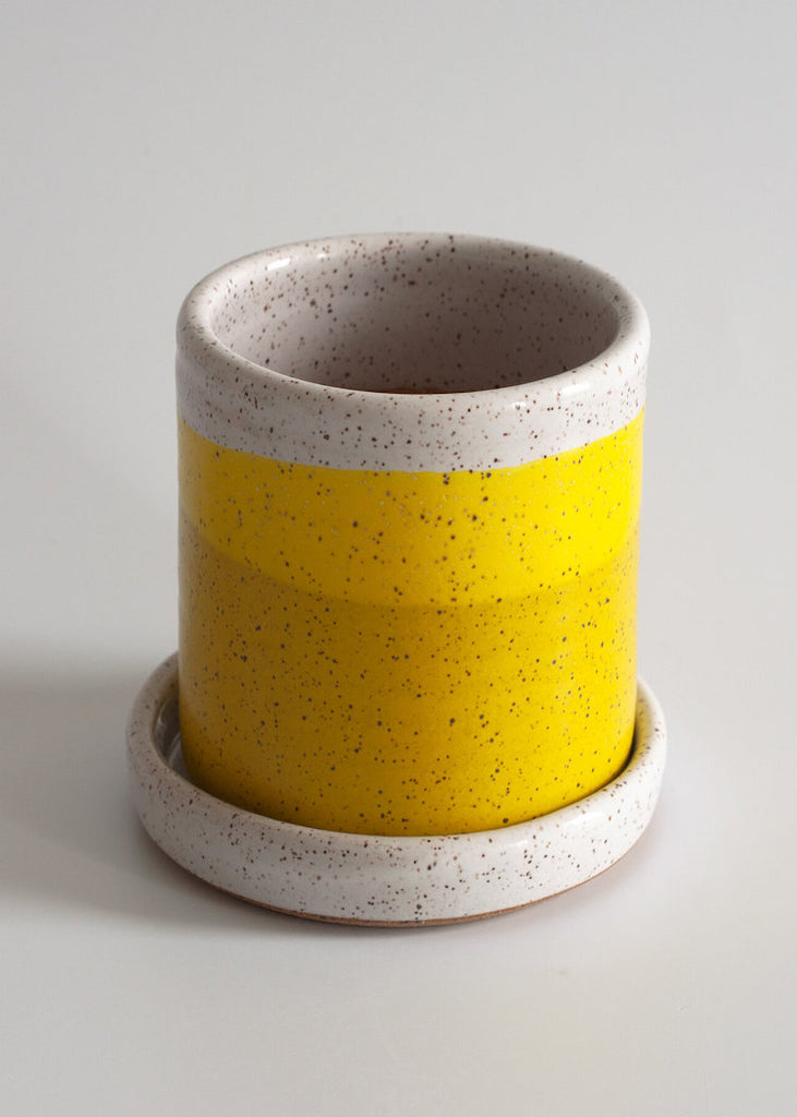 Rachael Pots | Tall Succulent | Yellow