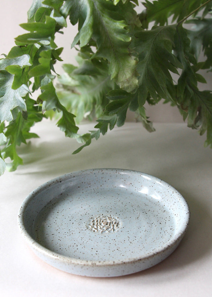 RachaelPots | Garlic Scraper | Light Blue
