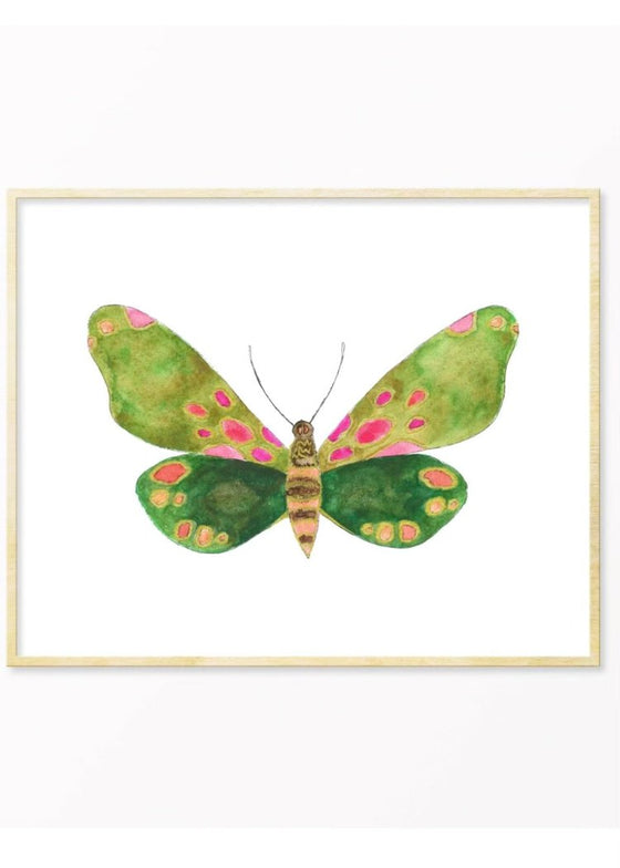 Snoogs & Wilde Art | Moth #13