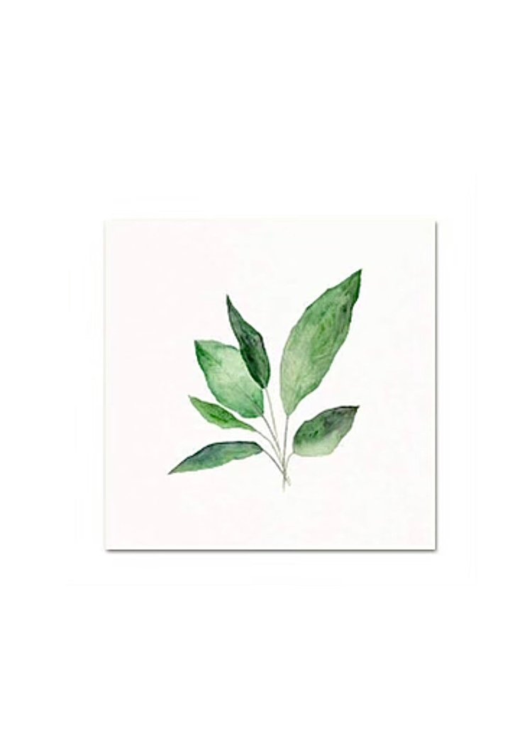 peace lily watercolor Snoogs & Wilde Art | Peace Lily Leaves | 8 x 10