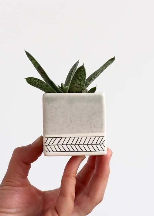 Elizabeth Benotti | Square Herringbone Planter Small