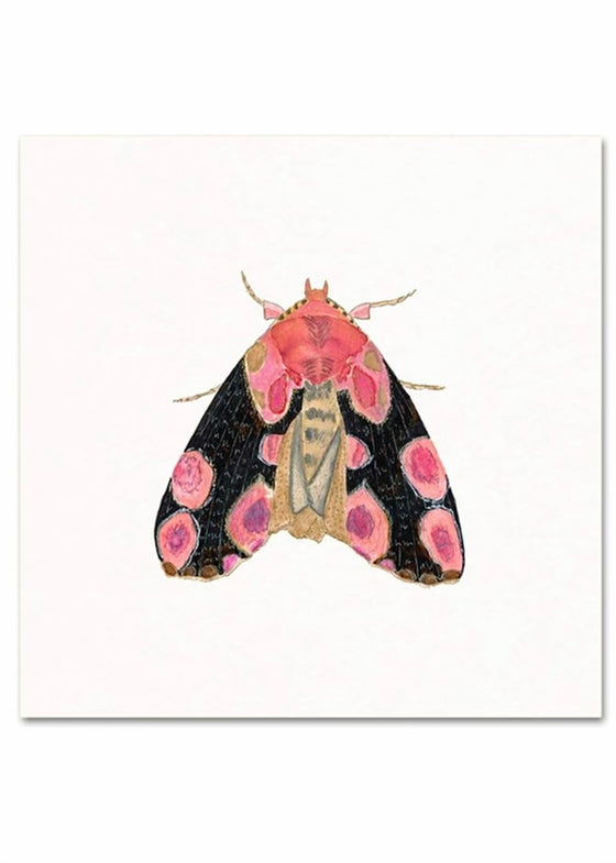 Snoogs & Wilde Art | Moth #2
