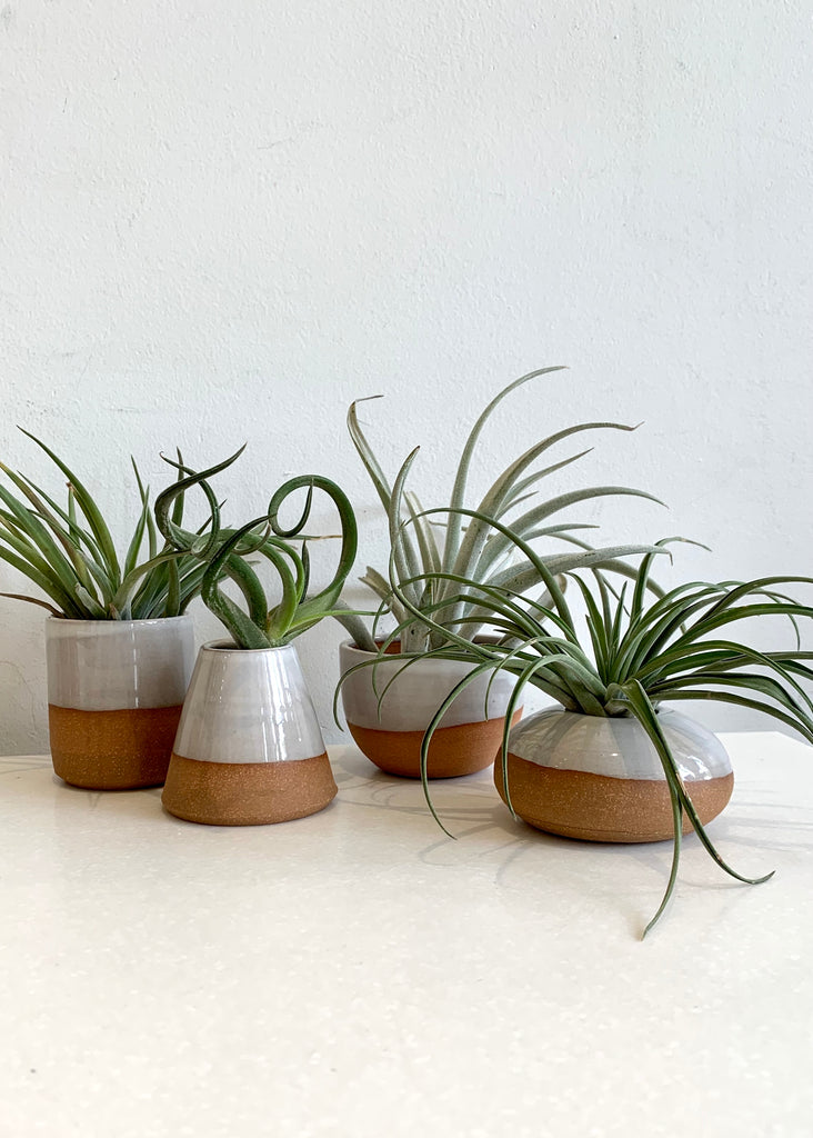 Gravesco Pottery | Tiny Planter Assortment