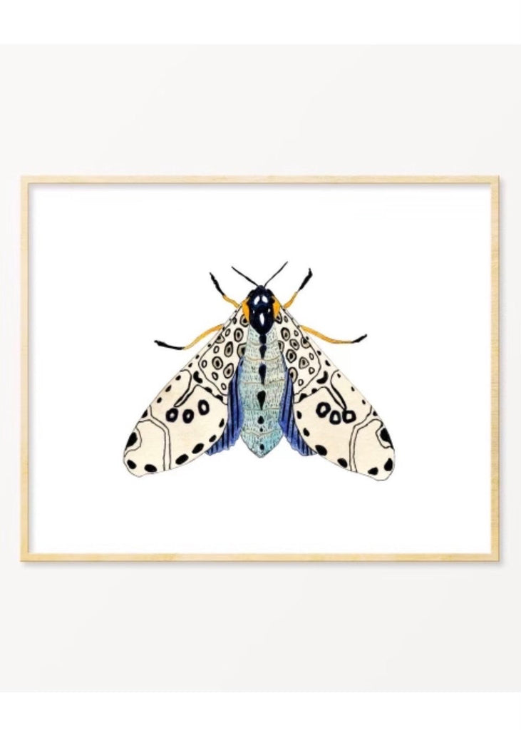 Snoogs & Wilde Art | Moth #6