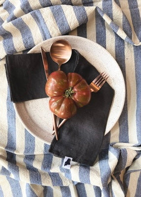 Amphitrite Studio | Linen Napkins - Iron