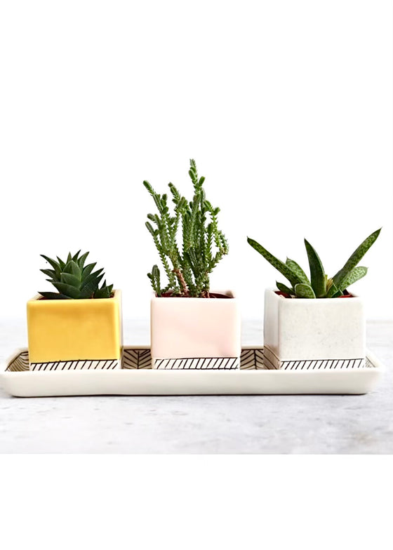 Elizabeth Benotti | Square Herringbone Planter Small