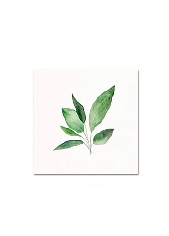 Snoogs & Wilde Art | Peace Lily Leaves