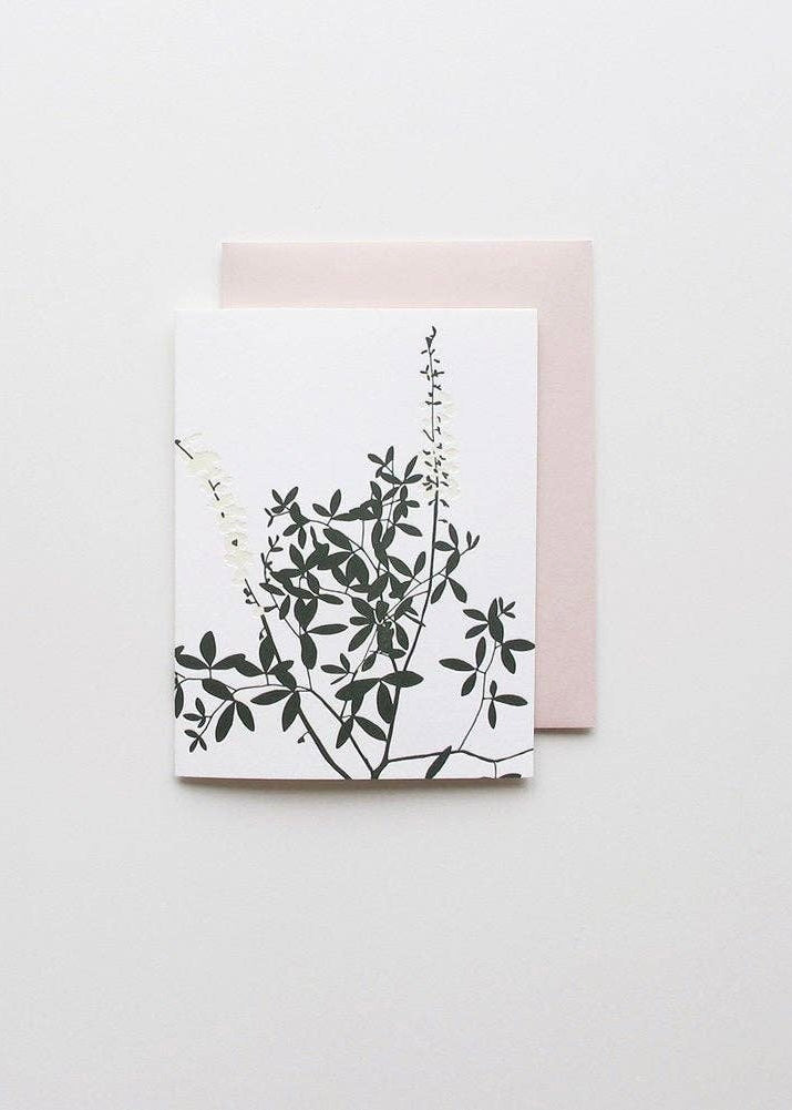 Brown Parcel Press | New Growth