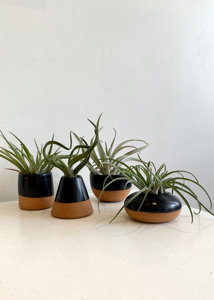 Gravesco Pottery | Tiny Planter Assortment