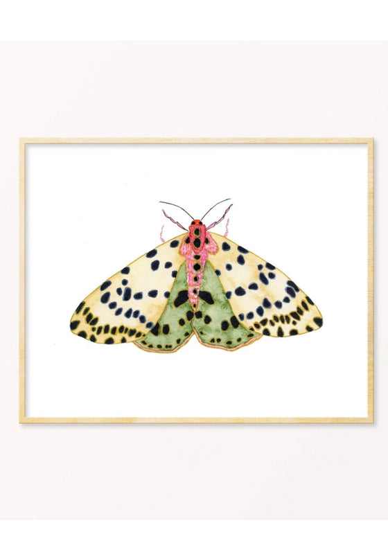 Snoogs & Wilde Art | Moth #7 Art Print