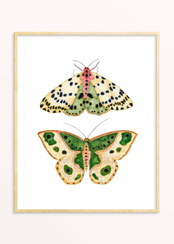 Snoogs & Wilde Art | 2 Moths #2